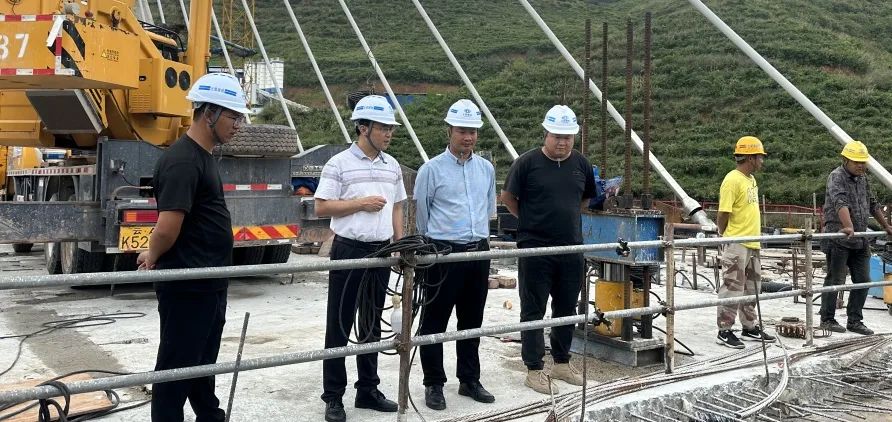 1687919577300715.jpg 1769c865ba8ff78baa81c50e12aceeb1.jpg